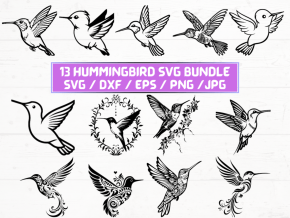 Hummingbird SVG: A Versatile Digital Asset for Creators and Designers