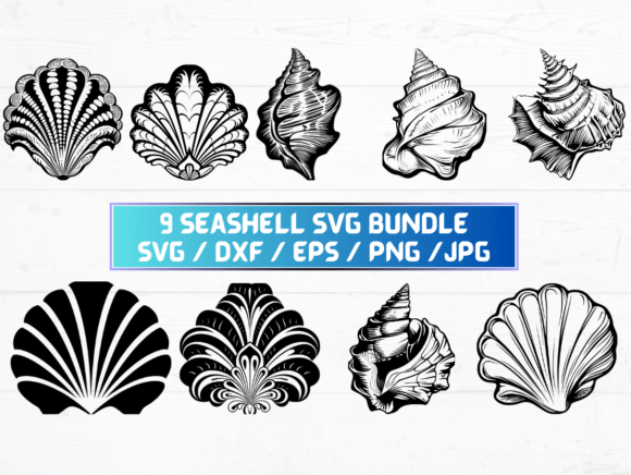 Seashell Engraving Svg for Creative Projects