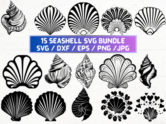 Seashell Laser Cut Files for Creative Projects