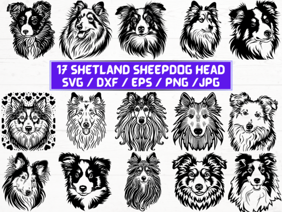 Shetland Sheepdog Head SVG, DXF, EPS: A Versatile Digital Asset for Creative and Professional Use