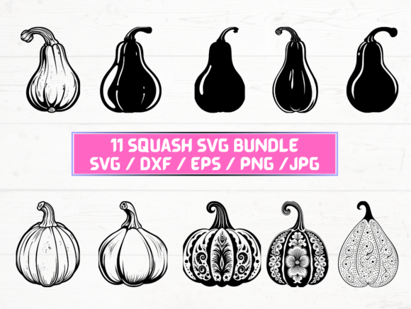 Squash SVG, DXF, EPS, JPG, and PNG: A Versatile Digital Asset for Creative Projects